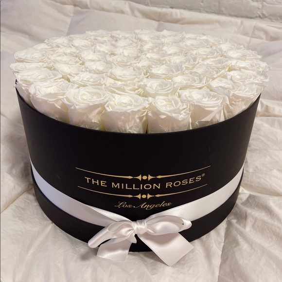 Preserved White Roses in Black Hatbox - Picture 7 of 8